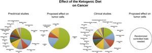 Vegetarian Keto Diet Food List Pdf